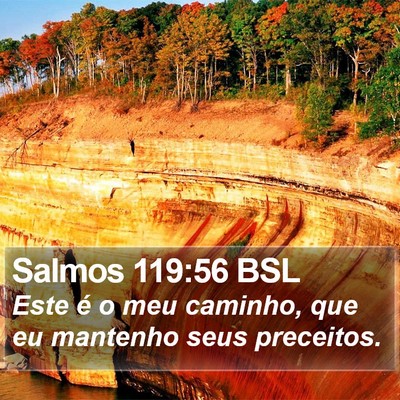 Salmos 119:56 BSL Bible Verse Image