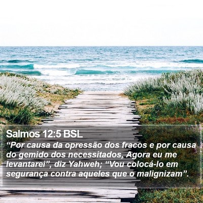 Salmos 12:5 BSL Bible Verse Image