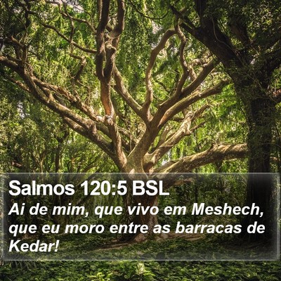 Salmos 120:5 BSL Bible Verse Image