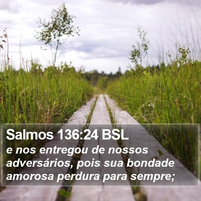 Salmos 136:24 BSL Bible Verse Image