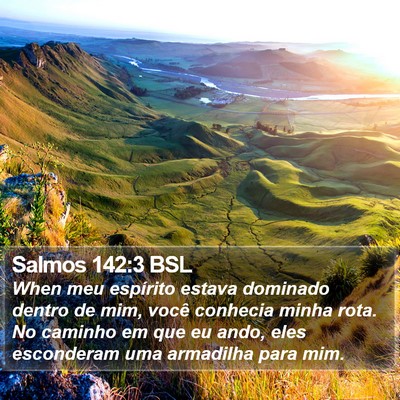 Salmos 142:3 BSL Bible Verse Image