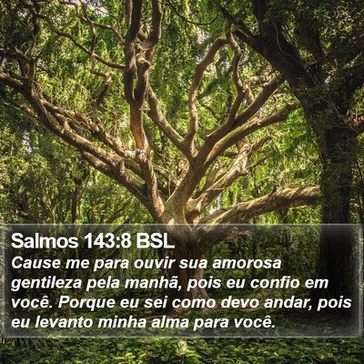 Salmos 143:8 BSL Bible Verse Image