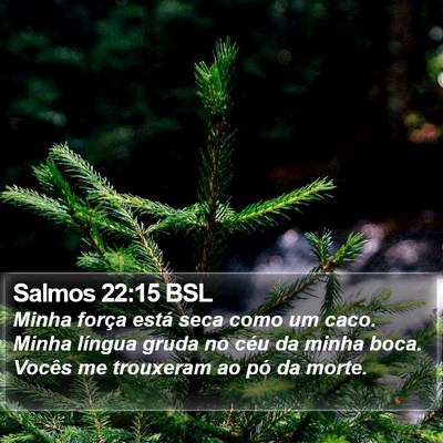 Salmos 22:15 BSL Bible Verse Image