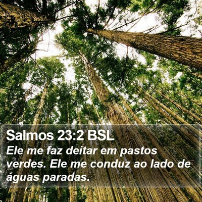 Salmos 23:2 BSL Bible Verse Image