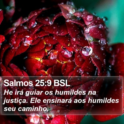 Salmos 25:9 BSL Bible Verse Image