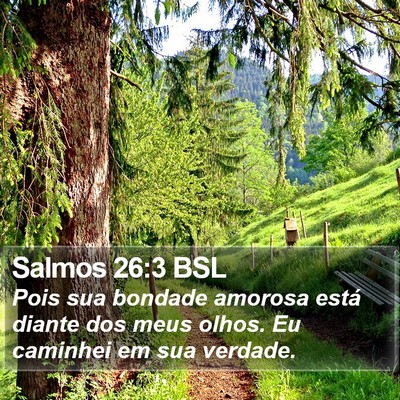 Salmos 26:3 BSL Bible Verse Image