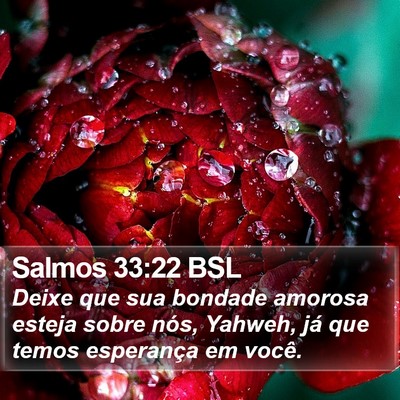 Salmos 33:22 BSL Bible Verse Image