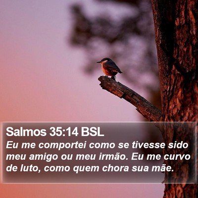 Salmos 35:14 BSL Bible Verse Image