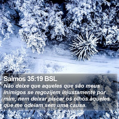 Salmos 35:19 BSL Bible Verse Image