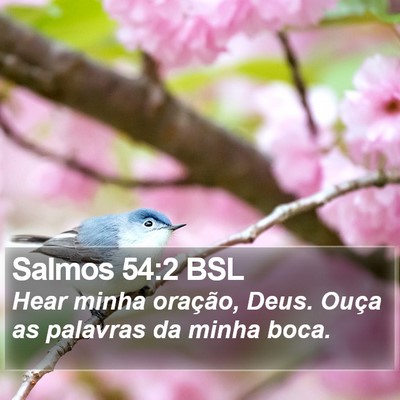 Salmos 54:2 BSL Bible Verse Image