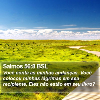 Salmos 56:8 BSL Bible Verse Image