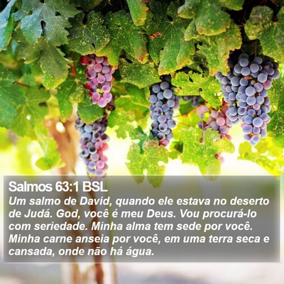Salmos 63:1 BSL Bible Verse Image