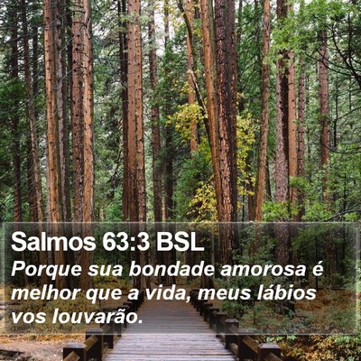 Salmos 63:3 BSL Bible Verse Image
