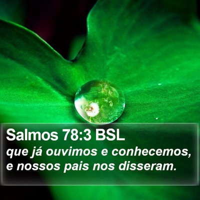 Salmos 78:3 BSL Bible Verse Image