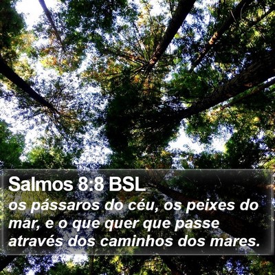 Salmos 8:8 BSL Bible Verse Image