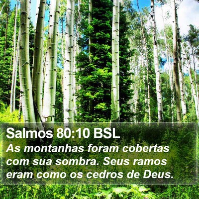 Salmos 80:10 BSL Bible Verse Image