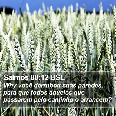 Salmos 80:12 BSL Bible Verse Image