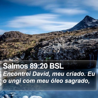 Salmos 89:20 BSL Bible Verse Image