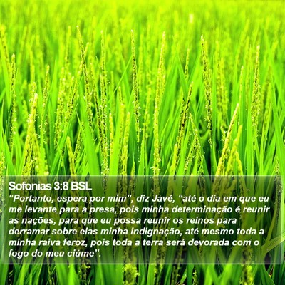 Sofonias 3:8 BSL Bible Verse Image