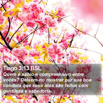 Tiago 3:13 BSL Bible Verse Image