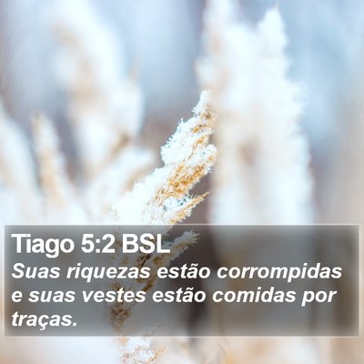 Tiago 5:2 BSL Bible Verse Image