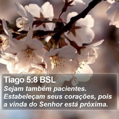 Tiago 5:8 BSL Bible Verse Image