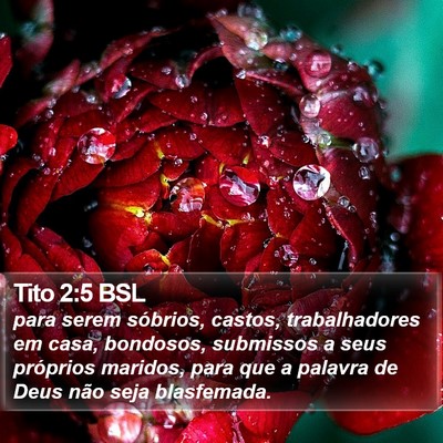 Tito 2:5 BSL Bible Verse Image