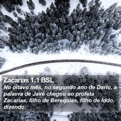 Zacarias 1:1 BSL Bible Verse Image