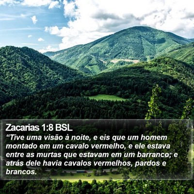 Zacarias 1:8 BSL Bible Verse Image