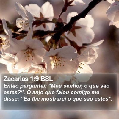 Zacarias 1:9 BSL Bible Verse Image