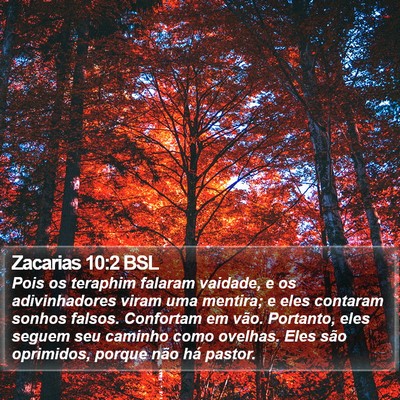 Zacarias 10:2 BSL Bible Verse Image