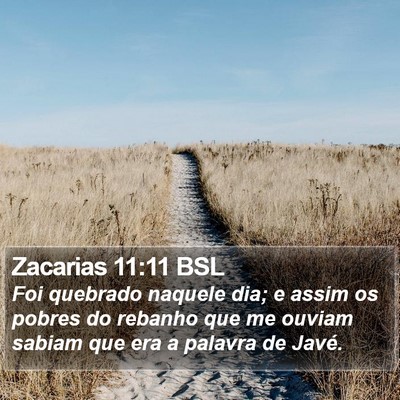 Zacarias 11:11 BSL Bible Verse Image