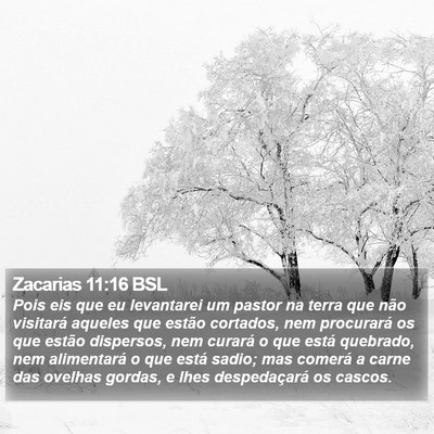 Zacarias 11:16 BSL Bible Verse Image
