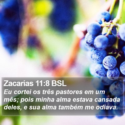 Zacarias 11:8 BSL Bible Verse Image
