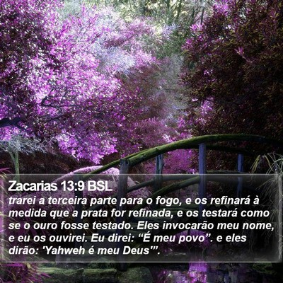 Zacarias 13:9 BSL Bible Verse Image