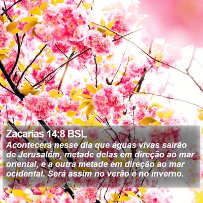 Zacarias 14:8 BSL Bible Verse Image
