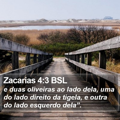 Zacarias 4:3 BSL Bible Verse Image
