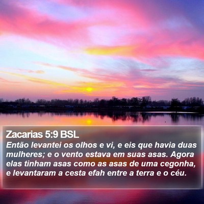 Zacarias 5:9 BSL Bible Verse Image
