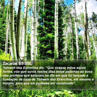 Zacarias 8:9 BSL Bible Verse Image
