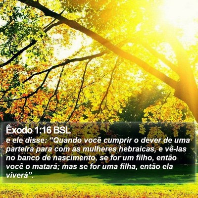 Êxodo 1:16 BSL Bible Verse Image