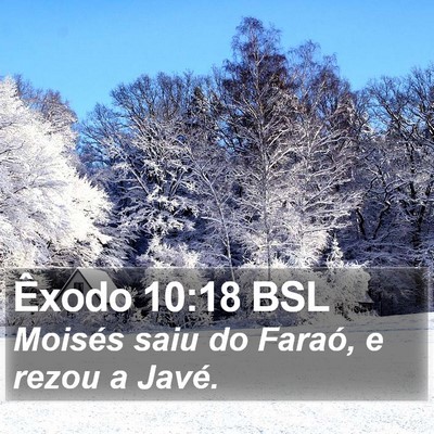 Êxodo 10:18 BSL Bible Verse Image