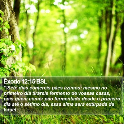 Êxodo 12:15 BSL Bible Verse Image