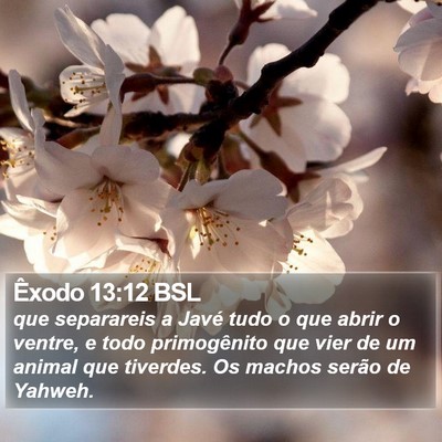 Êxodo 13:12 BSL Bible Verse Image