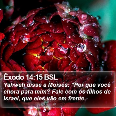 Êxodo 14:15 BSL Bible Verse Image
