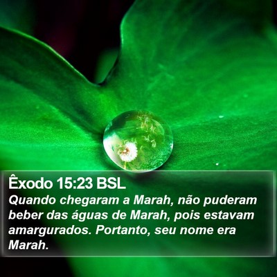 Êxodo 15:23 BSL Bible Verse Image