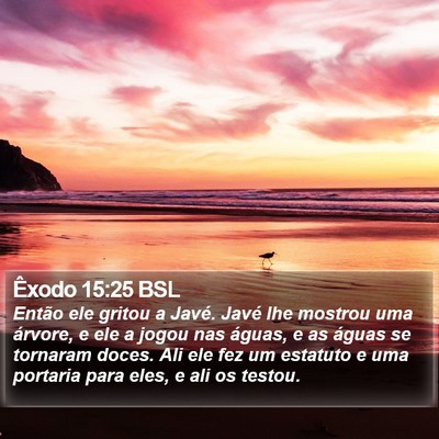 Êxodo 15:25 BSL Bible Verse Image