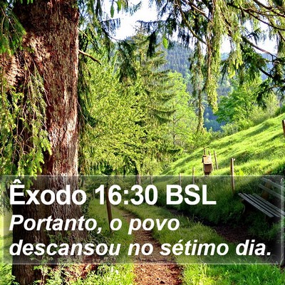 Êxodo 16:30 BSL Bible Verse Image