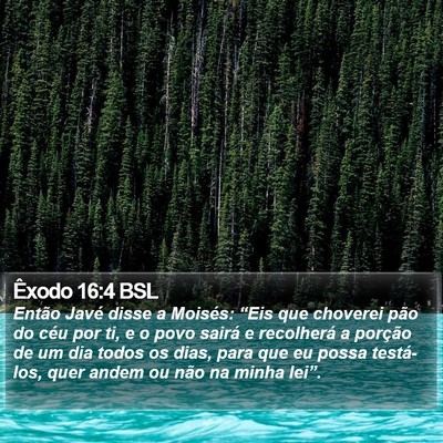 Êxodo 16:4 BSL Bible Verse Image