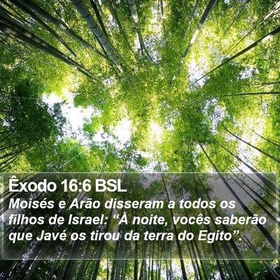 Êxodo 16:6 BSL Bible Verse Image