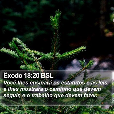 Êxodo 18:20 BSL Bible Verse Image